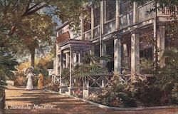 A Honolulu Mansion Postcard