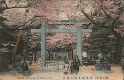 Cherry Blossoms at Shiba Park Tokyo, Japan Postcard Postcard Postcard