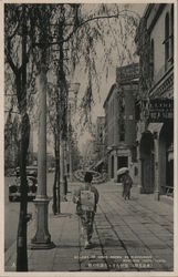 Willows of Ginza, Known as Flavourous Road-Side Trees Postcard