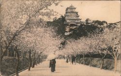 Himeji Castle near Kobe in Cherry Blossom Postcard