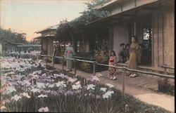 A beautiful garden full of flowers Japan Postcard Postcard Postcard