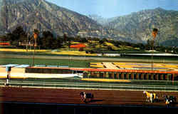 Santa Anita Race Track California Postcard Postcard