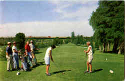 Fresno Municipal Golf Course California Postcard Postcard