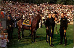 Michie Stadium West Point, NY Postcard Postcard