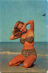 Leopard Bikini Posing Postcard