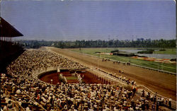 Hollywood Park Race Track Postcard