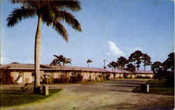 Peace River Motel, 1/2 Mile South on U.S.41 Postcard