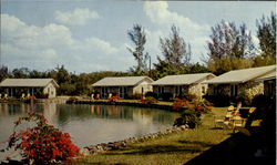 Race Lake Motel Fort Myers, FL Postcard Postcard