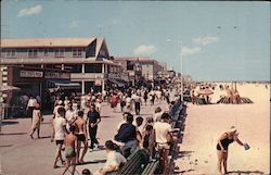 Boardwalk and Beach Scene Ocean City, MD Postcard Postcard Postcard