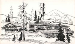 The Swiss Melody Inn Fish Camp, CA Postcard Postcard Postcard