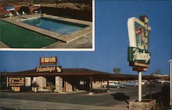 The Flamingo Motel Postcard