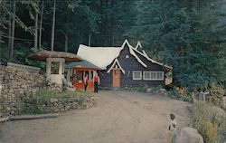 The Enchanted Forest Revelstoke, BC Canada British Columbia Postcard Postcard Postcard