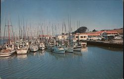 Fishing Boats Bodega Bay, CA Postcard Postcard Postcard