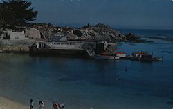 Glass Bottom Boats and Pier Postcard