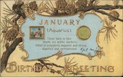 January (Aquarius) Astrology & Zodiac Postcard Postcard Postcard