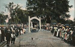 A Negro Wedding Down South Postcard