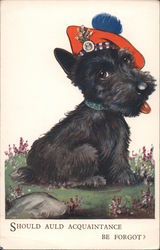 A Black Scottish Terrier with Hat Scottish Terriers Postcard Postcard Postcard