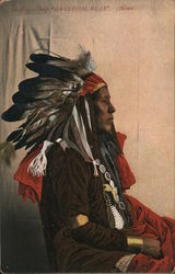 Chief Grabbing Bear Postcard