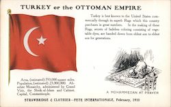 Turkey or the Ottoman Empire Flags Postcard Postcard Postcard