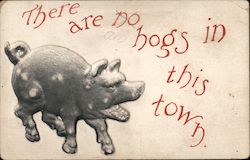 There are No Hogs in This Town Pigs Postcard Postcard Postcard