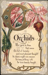 Orchids Flowers Postcard Postcard Postcard