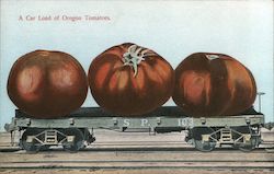 A Car Load of Oregon Tomatoes Exaggeration Postcard Postcard Postcard