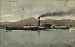 S.S. Talisman Steamers Postcard Postcard Postcard