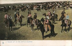 A Round Up in the Cattle Country Postcard