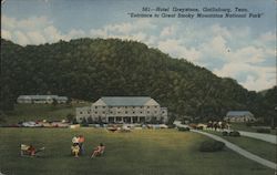 Hotel Greystone, "Entrance to Great Smoky Mountains National Park" Gatlinburg, TN Postcard Postcard Postcard