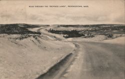 Road Through The "Province Lands" Provincetown, MA Postcard Postcard Postcard