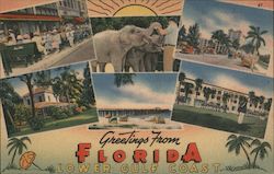 Greetings from Florida - Lower Gulf Coast Postcard