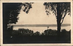 View of Lake Through Trees Postcard