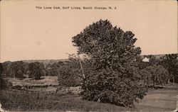 The Lone Oak, Golf Links Postcard