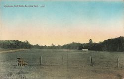 Quisisana Golf Links Looking East Postcard