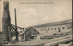 Sayre and Holly Lumber Mill Postcard