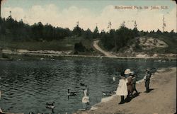 Rockwood Park Saint John, NB Canada New Brunswick Postcard Postcard Postcard