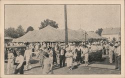 Billy Sunday Tabernacle Tampa, FL Postcard Postcard Postcard