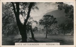 Late Afternoon in Yosemite National Park Yosemite Valley, CA Postcard Postcard Postcard