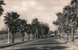 Street Scene Ocala, FL Postcard Postcard Postcard