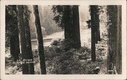 Eel River, Redwood Highway Garberville, CA Postcard Postcard Postcard