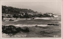 Coast Line Postcard