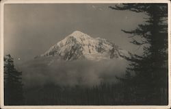 Snow Capped Mountain Rising Above Clouds Landscapes Postcard Postcard Postcard