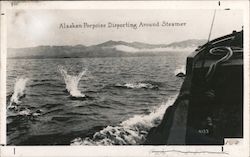 Alaskan Porpoise Disporting Around Steamer Boats, Ships Postcard Postcard Postcard