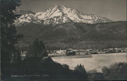 Shasta near Sisson Tavern Postcard