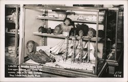 Collection of Shrunken Human Heads from upper Amazon and "Gloria" the Mummy Postcard