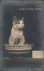 Kitten Sitting in Bath Bowl - "I Wish It Was Over!" Postcard