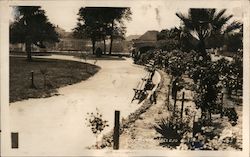 City Park Vallejo, CA Postcard Postcard Postcard