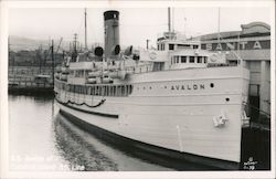 Steamer "Avalon" Postcard