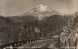 Mt. Hood From Laurel Hill-Loop Road Postcard