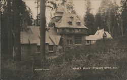 Wyntoon Hearst Place on the McCloud River Postcard